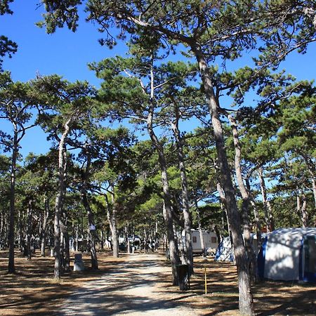 Camping Planik Hotel Ražanac Buitenkant foto